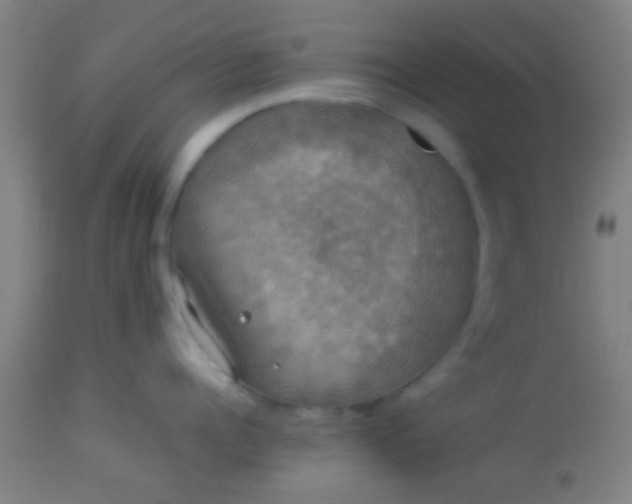 X0000114170960200910221648