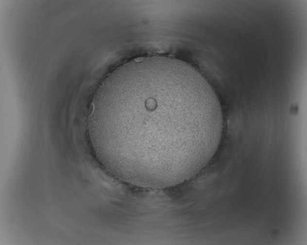 X0000114170961200910221647