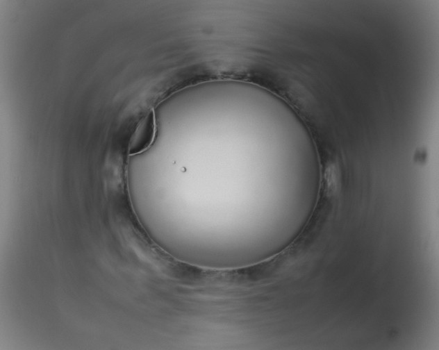 X0000114170963200910221647