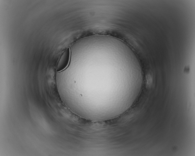 X0000114170964200910221647