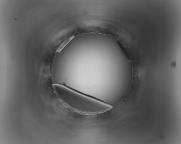 X0000114170965200910221647