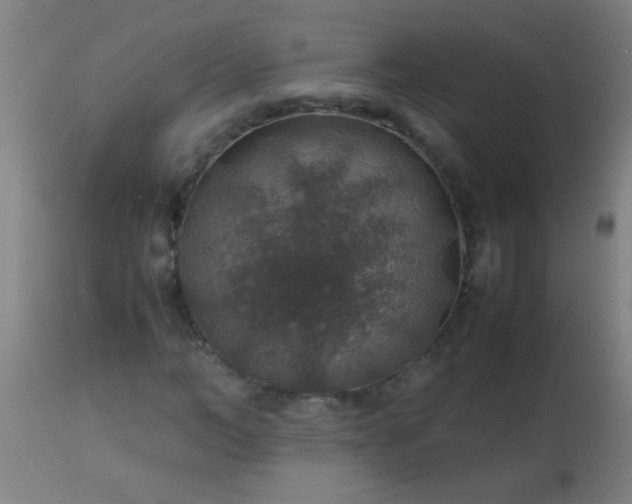 X0000114170966200910221647