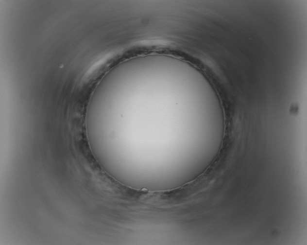 X0000114170967200910221647