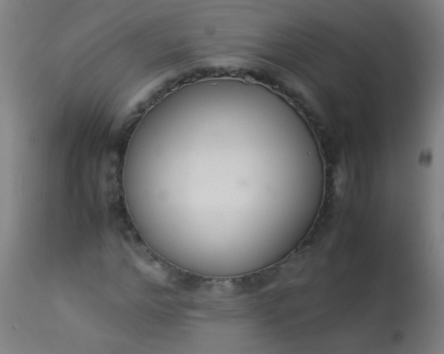 X0000114170968200910221647