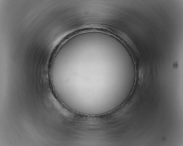 X0000114170972200910221647