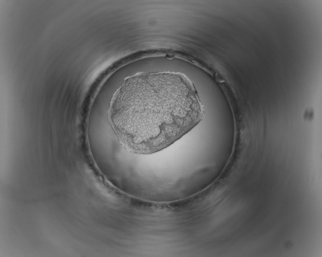 X0000114170975200910221647