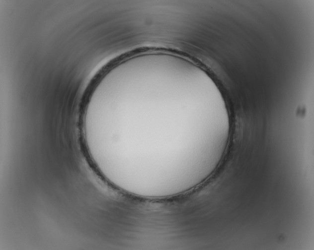 X0000114170976200910221647