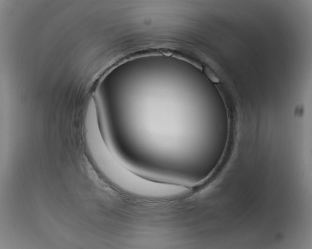 X0000114170977200910221647