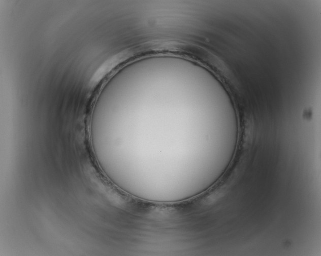 X0000114170978200910221647