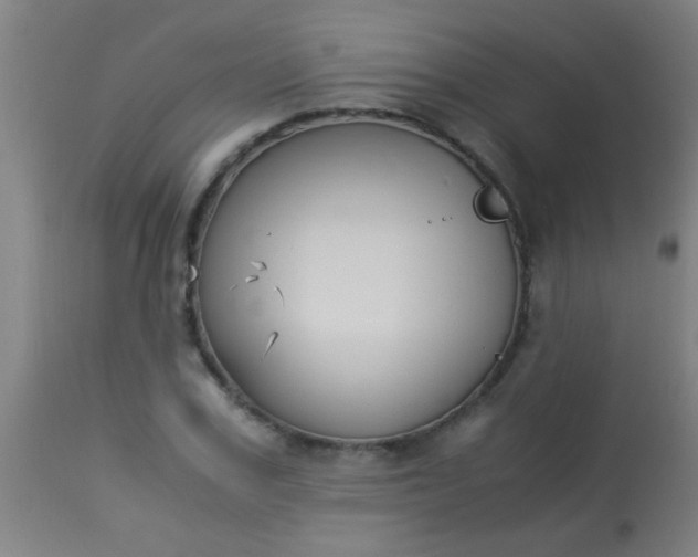 X0000114170979200910221647