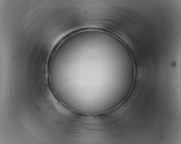 X0000114170980200910221647