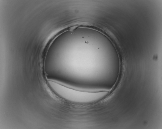 X0000114170981200910221647