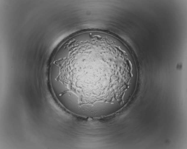 X0000114170983200910221647