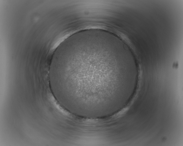 X0000114170985200910221647