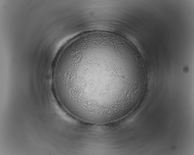 X0000114170987200910221647