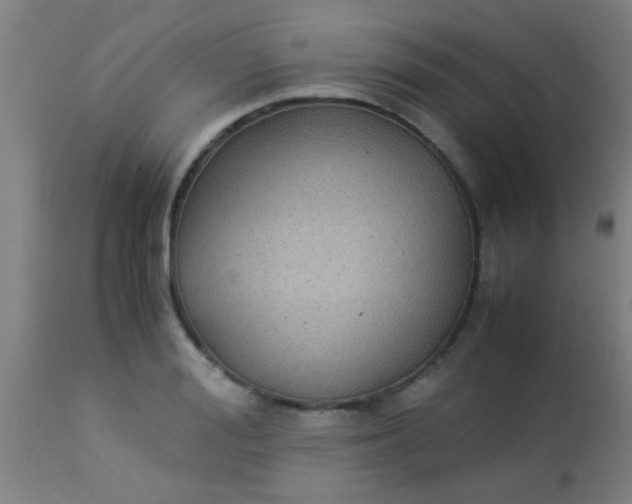 X0000114170988200910221647