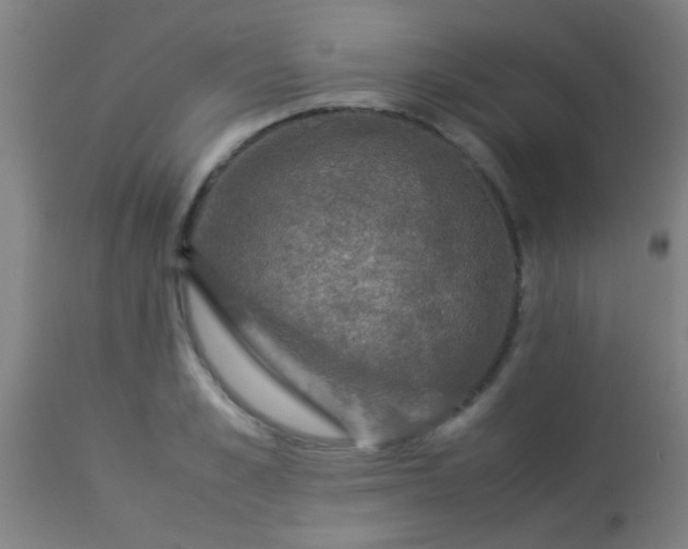 X0000114170989200910221647