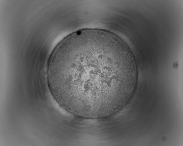 X0000114170990200910221647