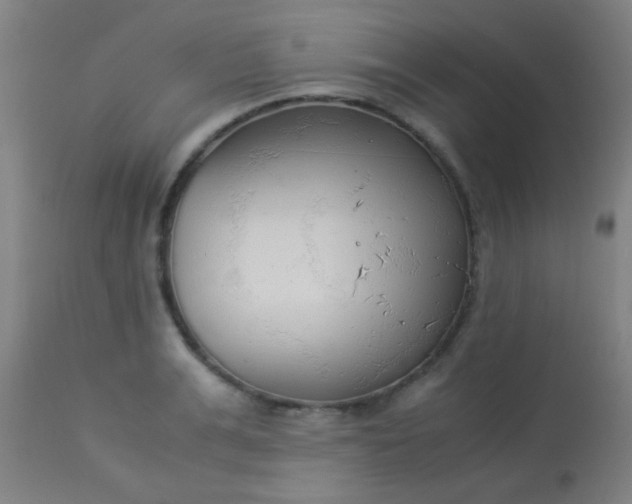 X0000114170991200910221647