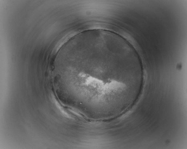 X0000114170993200910221647