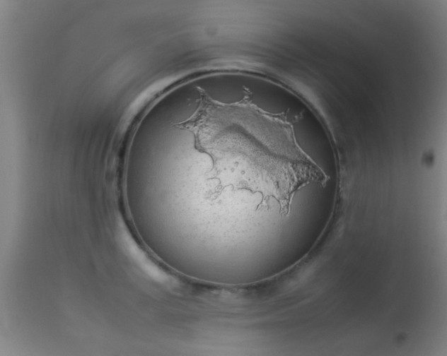 X0000114170995200910221646