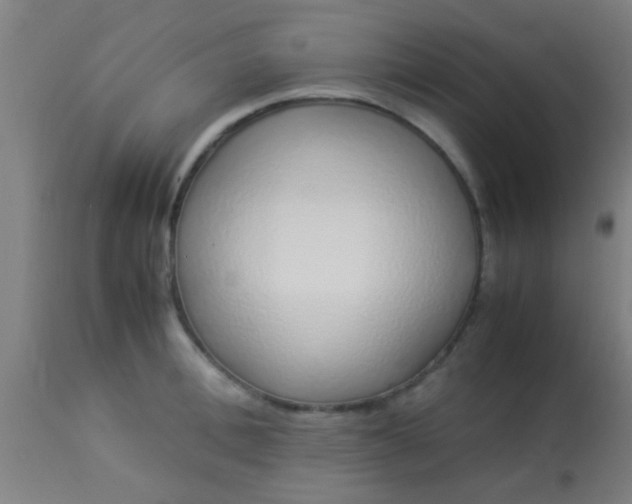 X0000114170996200910221646