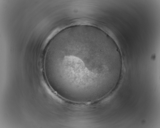 X0000114170997200910221646