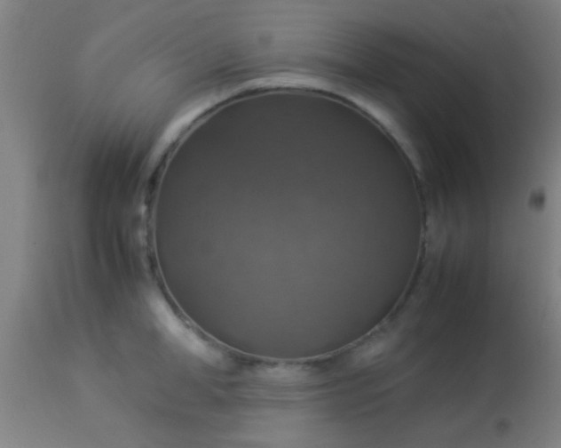 X0000114170998200910221646