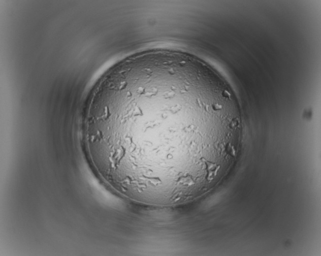 X0000114170999200910221646