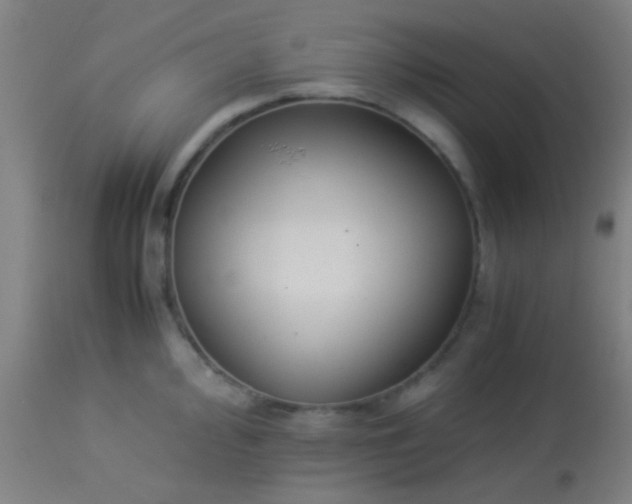 X0000114171000200910221646