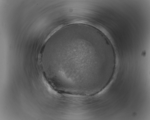 X0000114171001200910221646