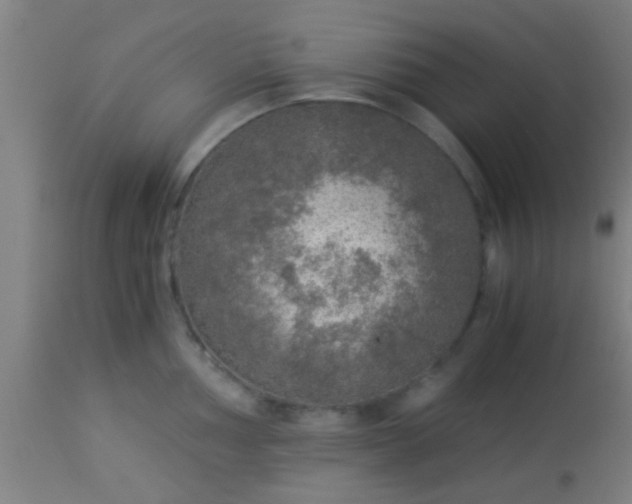 X0000114171002200910221646