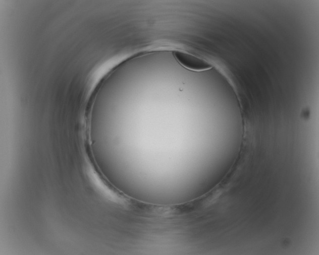 X0000114171003200910221646