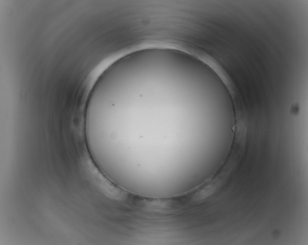 X0000114171004200910221646