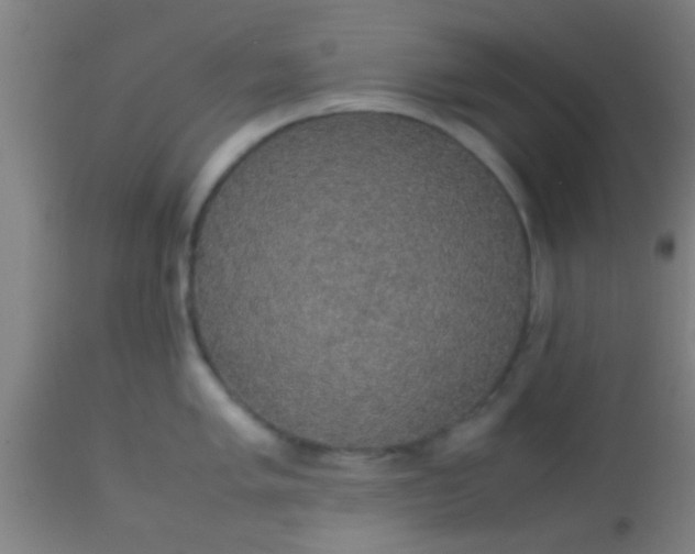 X0000114171005200910221646