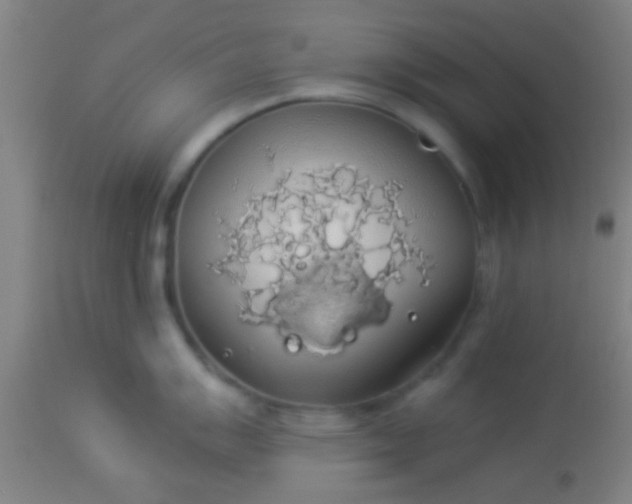 X0000114171007200910221646