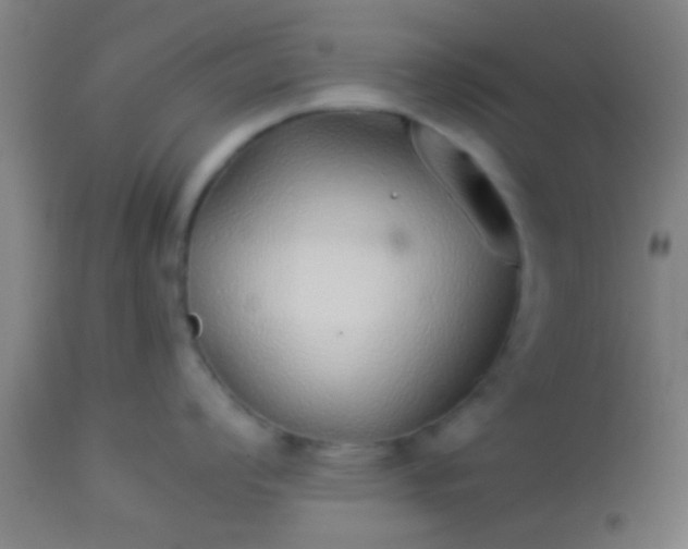 X0000114171008200910221646