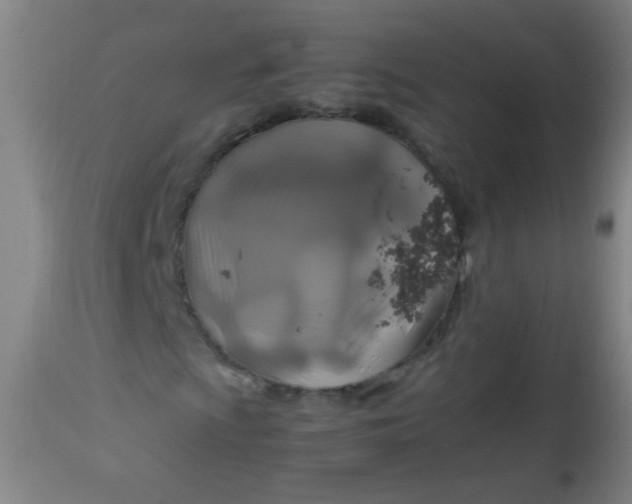 X0000114171009200910221646