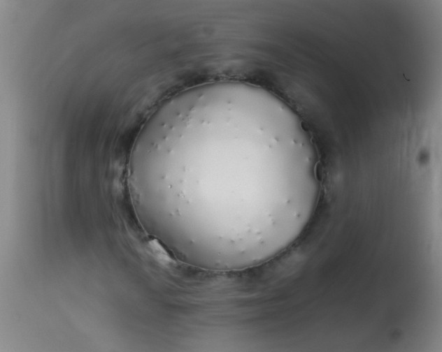 X0000114171010200910221646