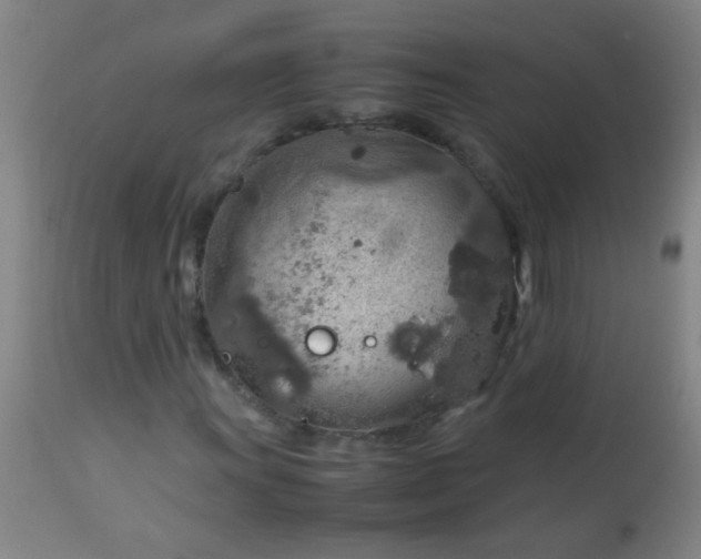 X0000114171011200910221646