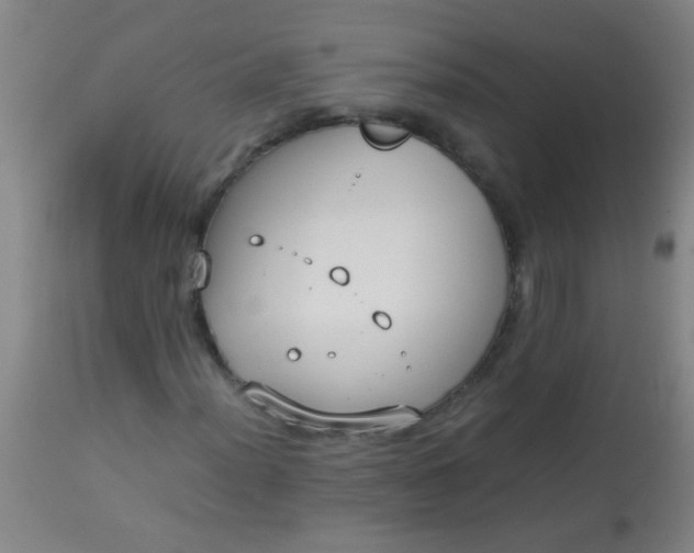 X0000114171012200910221646