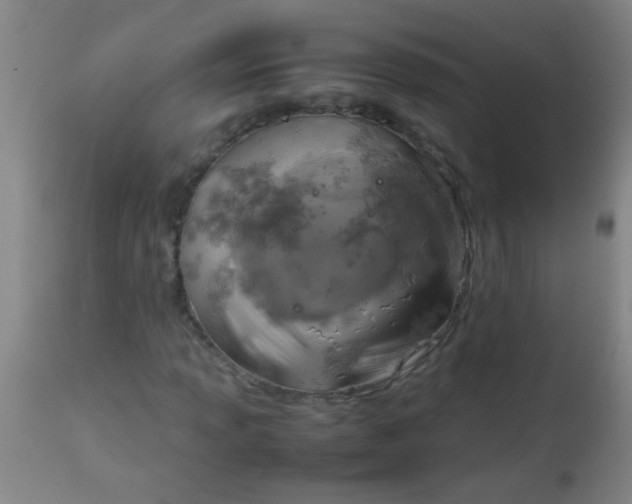 X0000114171013200910221646