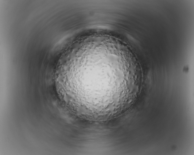 X0000114171014200910221646