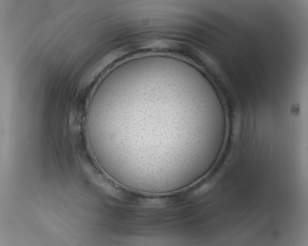 X0000114171017200910221646