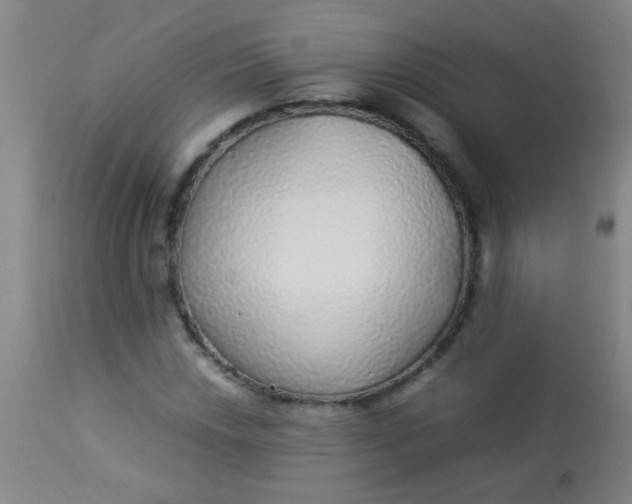 X0000114171018200910221646