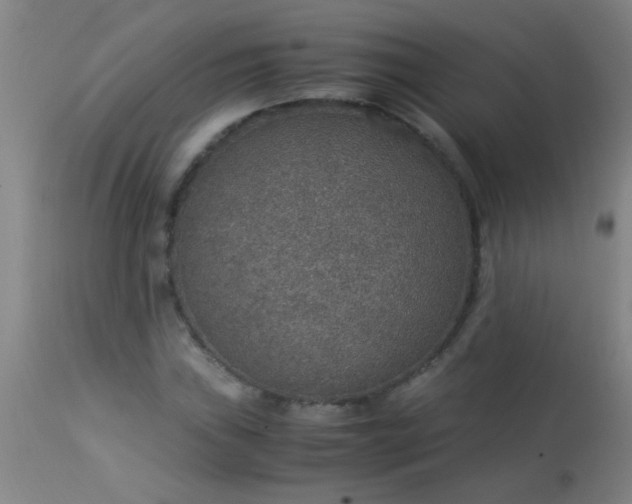 X0000114171019200910221646