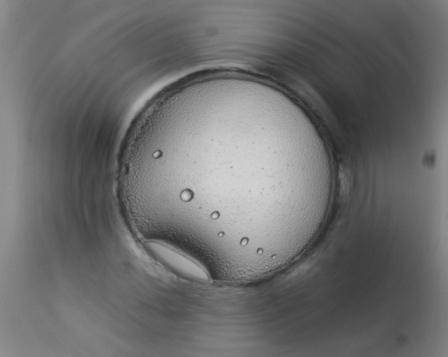 X0000114171020200910221646