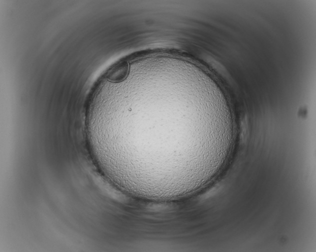 X0000114171021200910221646