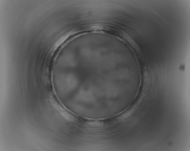 X0000114171023200910221646