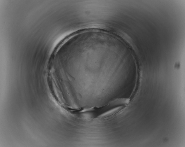 X0000114171024200910221646